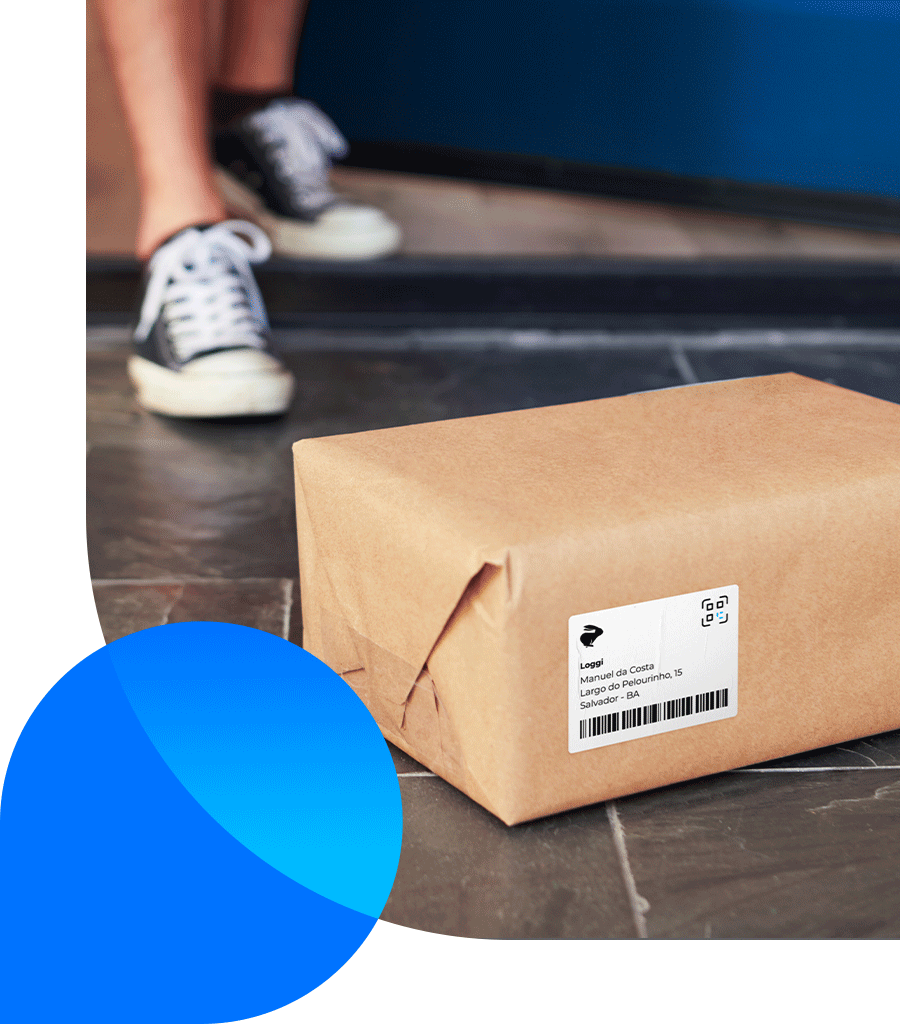 Pacote Loggi sendo entregue